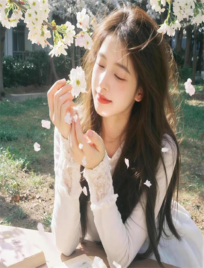 看《夏日之书2024》前必读：欣赏指南帮你把握节奏的起伏变化 提升观影体验